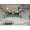 Icemedal IMB10 10tons เครื่องบล็อกน้ำแข็งประติมากรรมเครื่องทำบล็อกน้ำแข็งสำหรับปลา