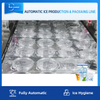 สายการผลิตน้ำแข็งก้อนอัตโนมัติเต็มรูปแบบพร้อมระบบบรรจุสำหรับโรงงานน้ำแข็ง