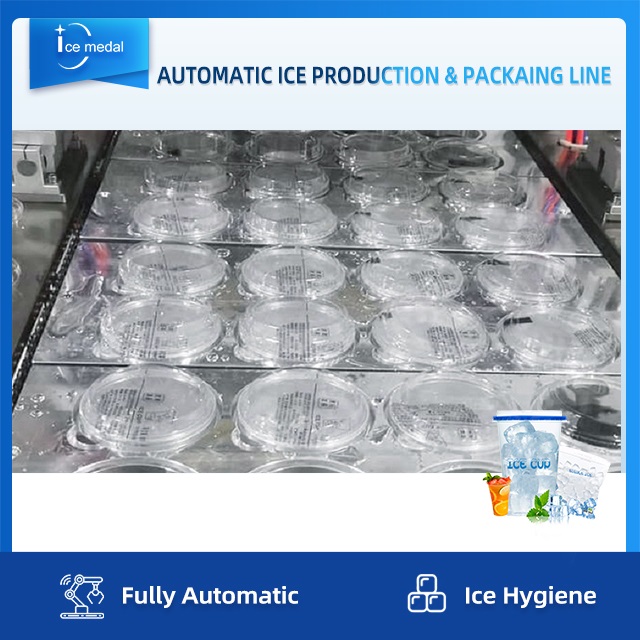 สายการผลิตน้ำแข็งก้อนอัตโนมัติเต็มรูปแบบพร้อมระบบบรรจุสำหรับโรงงานน้ำแข็ง