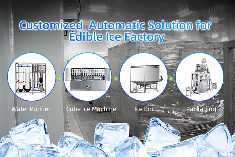 edible ice factory solution.jpg