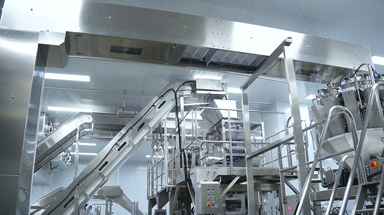 ระบบลำเลียงน้ำแข็ง Icemedal และระบบบรรจุภัณฑ์ในโรงงานน้ำแข็ง